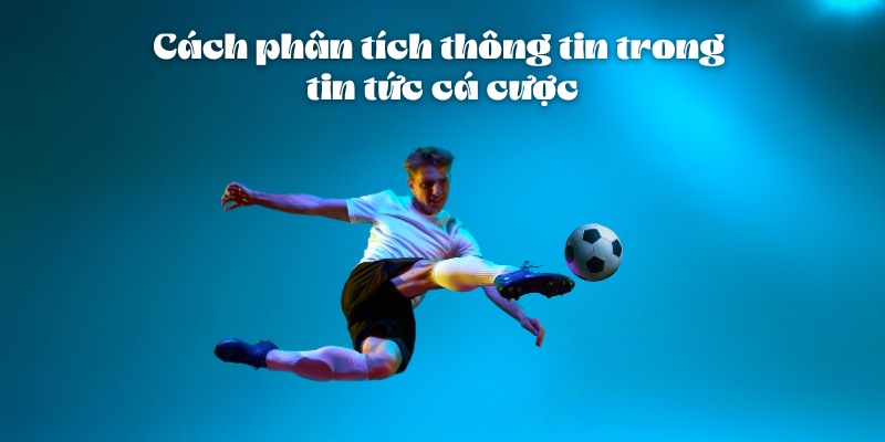 Cách Đọc Tin Tức Cá Cược Hiệu Quả Và Chính Xác Cùng 11bet 1 Cách phân tích thông tin trong tin tức cá cược