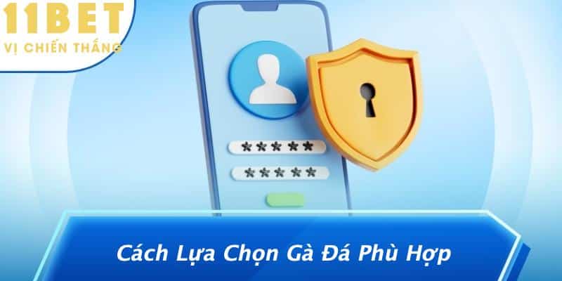 Luật Đá Gà Miền Bắc: Khám Phá Những Quy Tắc Thú Vị Về Trò Chơi Đầy Kịch Tính 2 Cách Lựa Chọn Gà Đá Phù Hợp