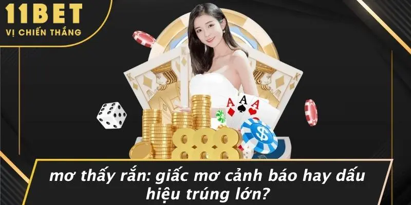 MƠ THẤY RẮN: GIẤC MƠ CẢNH BÁO HAY DẤU HIỆU TRÚNG LỚN? 2 MƠ THẤY RẮN: GIẤC MƠ CẢNH BÁO HAY DẤU HIỆU TRÚNG LỚN?